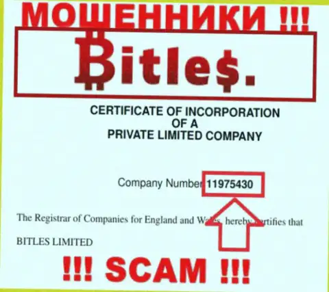 Номер регистрации интернет-разводил Битлес, с которыми не надо сотрудничать - 11975430