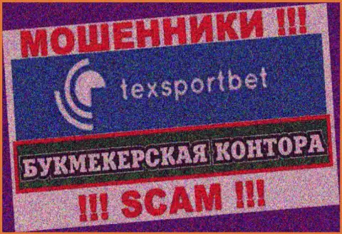 Направление деятельности жуликов TexSportBet - это Букмекер, но знайте это кидалово !!!