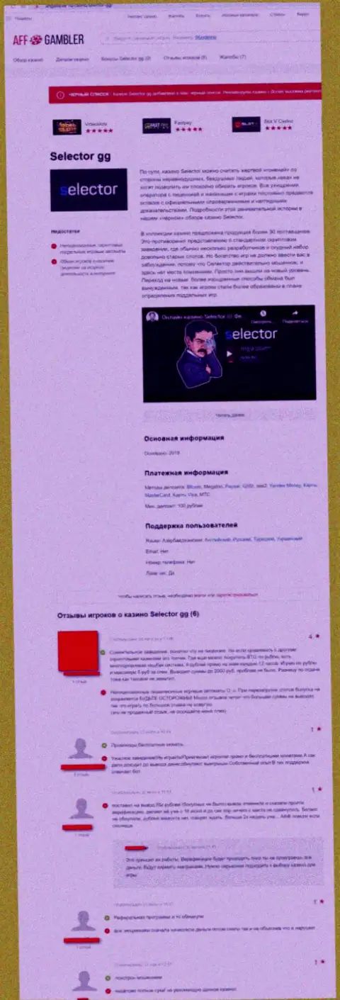Selector Gg - это ОБМАН, приманка для лохов - обзор мошеннических деяний