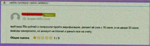 Селектор Гг - это МОШЕННИКИ, так сказал клиент, который совместно работал с данной конторой