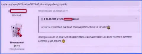 В глобальной сети работают мошенники в лице конторы PelicanCasino Games (отзыв)