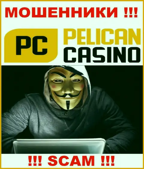 Люди руководящие конторой PelicanCasino предпочли о себе не афишировать