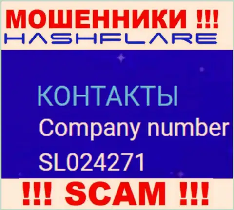 Регистрационный номер, под которым зарегистрирована компания Hash Flare: SL024271