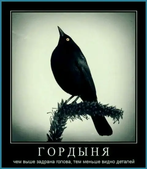 Сами же нарвались, а стоило просто-напросто опустить свою голову признавая свою ошибочность поступков