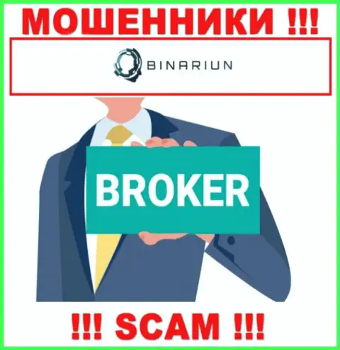 Работая совместно с Бинариун, рискуете потерять деньги, поскольку их Broker - надувательство