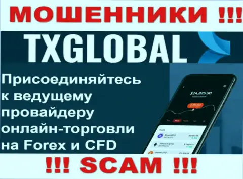 В сети интернет прокручивают свои делишки мошенники TXGlobal Com, тип деятельности которых - Форекс
