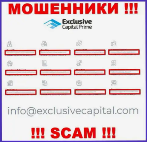 На е-майл, расположенный на веб-портале мошенников Exclusive Capital, писать сообщения слишком опасно - это ЖУЛИКИ !!!