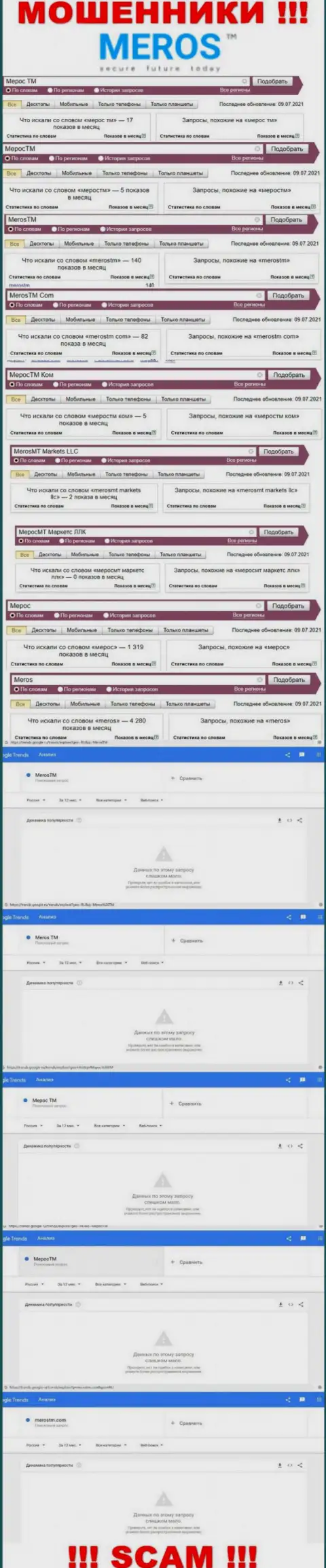 Статистические сведения online запросов по ворам МеросТМ во всемирной сети Интернет