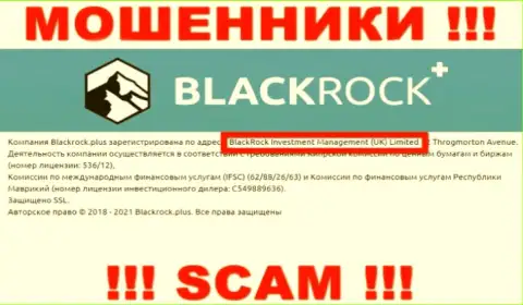 Владельцами Black Rock Plus оказалась контора - BlackRock Investment Management (UK) Ltd