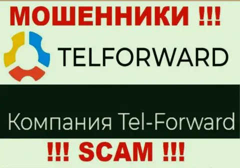 Юридическое лицо TelForward это Тел-Форвард, именно такую инфу расположили мошенники на своем сайте