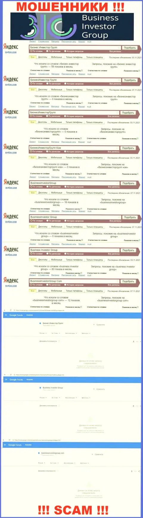 Подробный анализ числа онлайн запросов в поисковиках всемирной сети Интернет по кидалам BusinessInvestorGroup