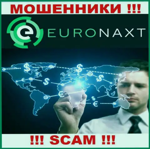 Не отправляйте деньги в EuroNaxt Com, сфера деятельности которых - Брокер