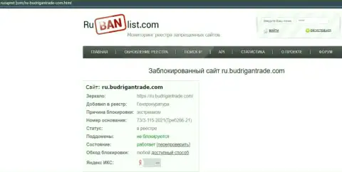 Веб-портал BudriganTrade в пределах России был заблокирован Генеральной прокуратурой