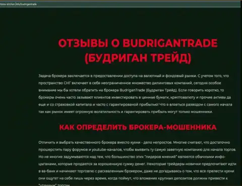 BudriganTrade - это компания, совместное сотрудничество с которой доставляет только лишь убытки (обзор неправомерных деяний)