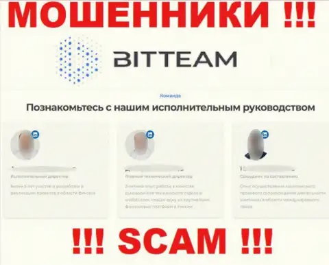 Доверять информации Bit Team о непосредственных руководителях довольно-таки опасно, поскольку это фиктивные лица