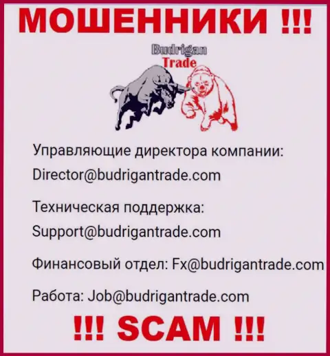 Не пишите на е-майл Budrigan Ltd - это интернет-ворюги, которые крадут финансовые средства доверчивых клиентов