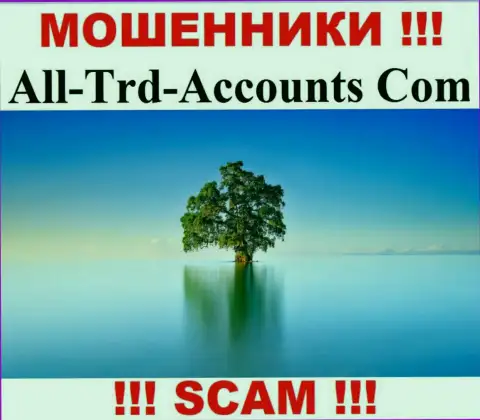 AllTrd Accounts крадут вложенные денежные средства и остаются без наказания - они прячут сведения о юрисдикции
