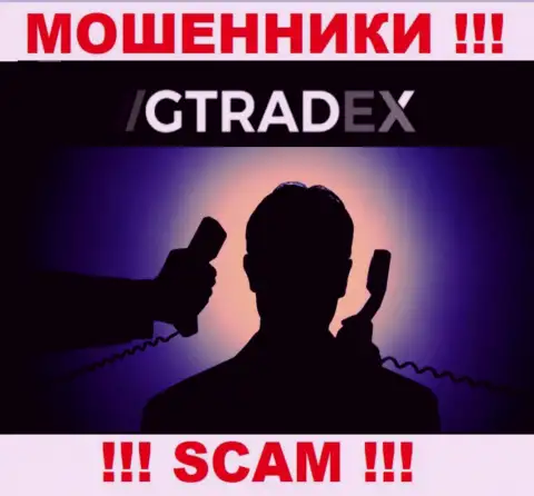 Инфы о руководителях мошенников GTradex Net в сети internet не получилось найти