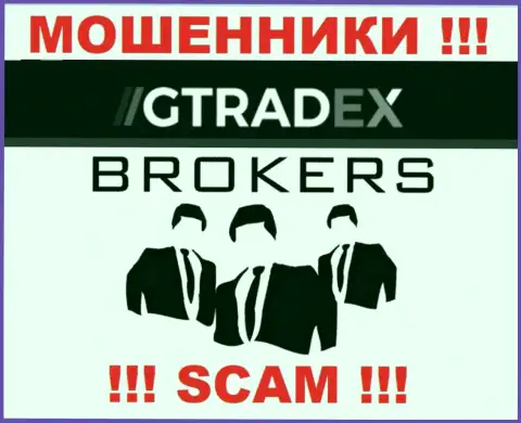 Область деятельности конторы GTradex Net - это замануха для наивных людей