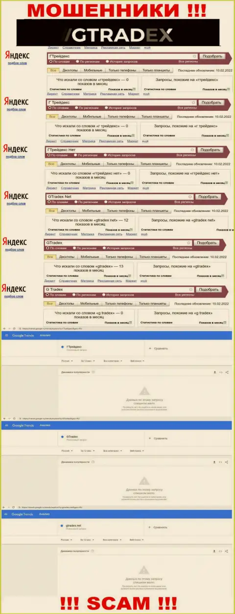 Аналитика запросов, касательно ворюг G Tradex, во всемирной интернет сети