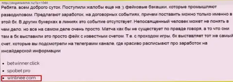 Win Linee - это однозначно ВОРЮГИ !!! Обзор организации