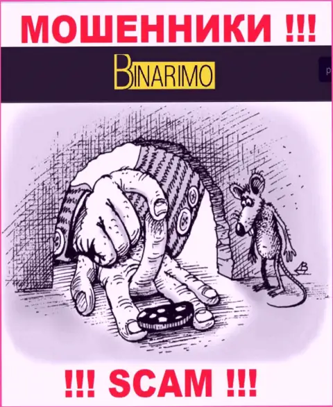 Не поведитесь на уловки звонарей из компании Binarimo Com - это интернет кидалы