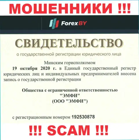 Номер регистрации противозаконно действующей конторы ООО ЭМФИ - 192530878