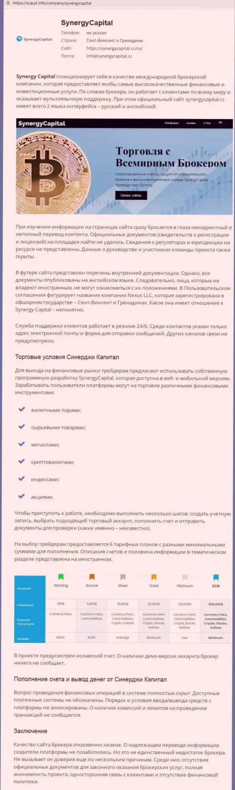 Детальный анализ схем развода Synergy Capital (обзор)