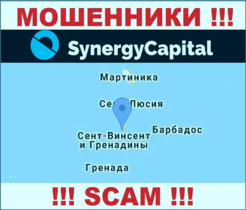 У себя на web-портале Synergy Capital указали, что зарегистрированы они на территории - Kingstown, St. Vincent and the Grenadines