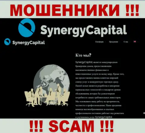 Что касается рода деятельности Synergy Capital (Брокер) - сто процентов лохотрон