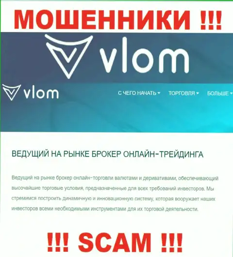 Область деятельности мошеннической организации Влом - это Broker