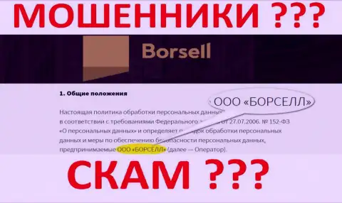 ООО БОРСЕЛЛ - это организация, управляющая интернет мошенниками Borsell