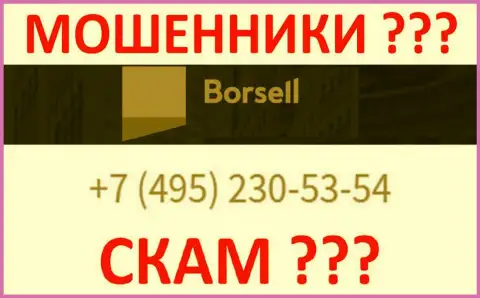 С какого номера телефона будут названивать лохотронщики из Borsell Ru неведомо, у них их масса