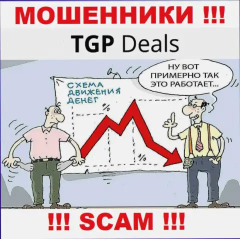Захотели зарабатывать во всемирной паутине с мошенниками TGPDeals Com - это не получится однозначно, обведут вокруг пальца