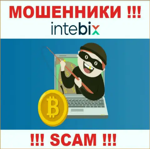 Intebix это ВОРЮГИ !!! Подталкивают работать совместно, доверять опасно