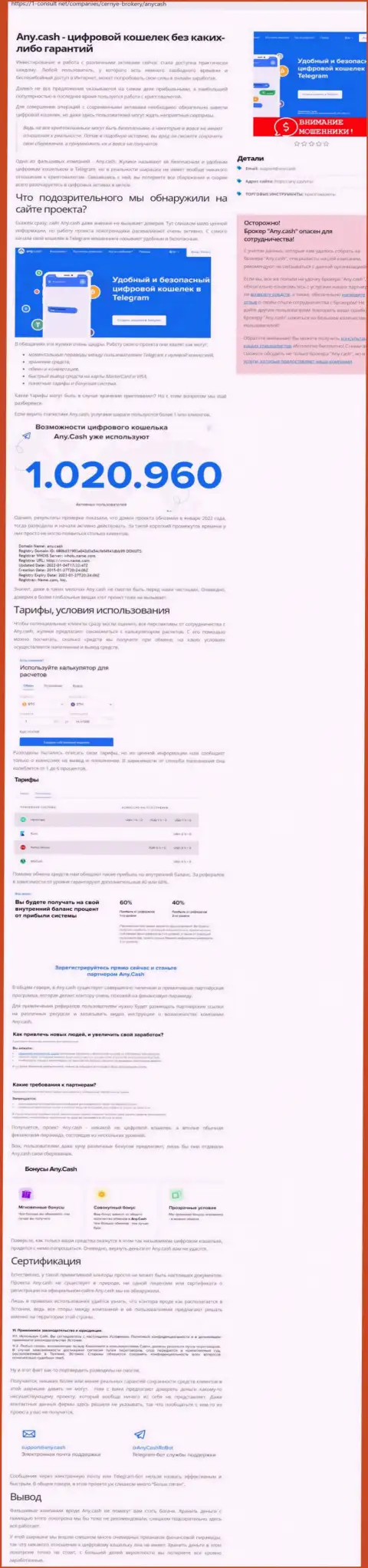 Реальные клиенты AnyCash стали жертвой от совместного сотрудничества с данной организацией (обзор)