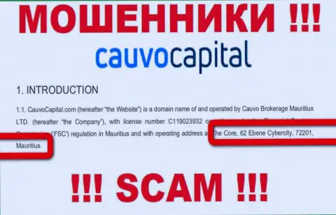 Невозможно забрать назад финансовые средства у конторы Cauvo Capital - они отсиживаются в оффшоре по адресу The Core, 62 Ebene Cybercity, 72201, Mauritius