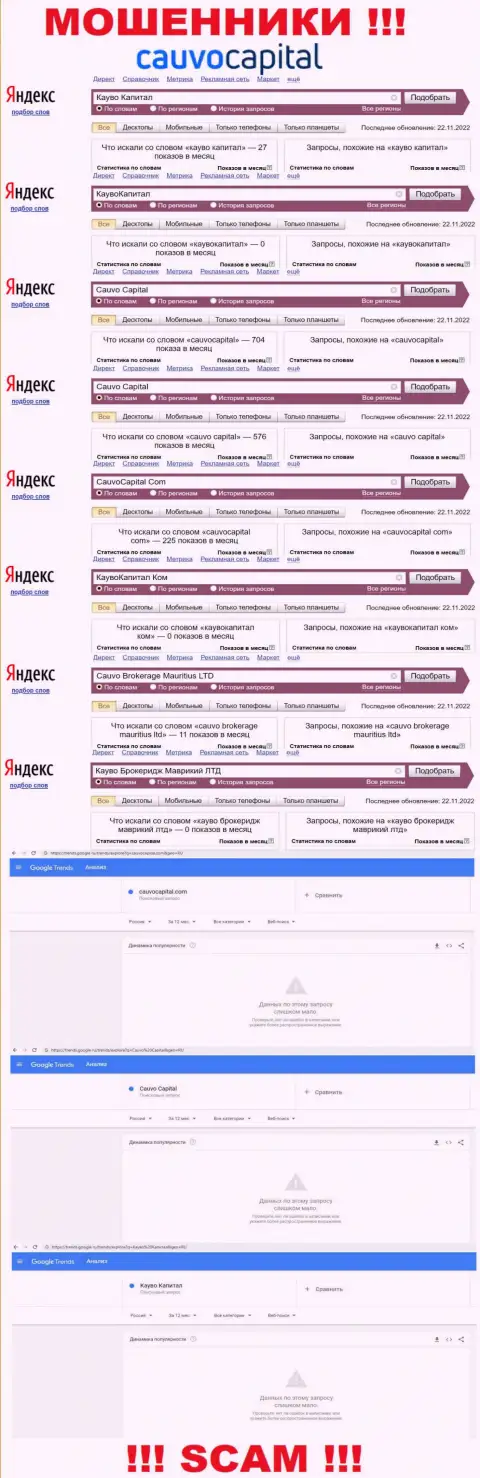 Cauvo Capital это МОШЕННИКИ, сколько именно раз искали в поисковиках всемирной internet сети данную контору