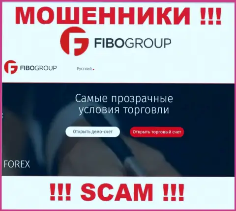 Область деятельности конторы Fibo Group - это капкан для лохов