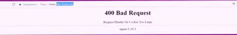 Официальный веб-сайт форекс компании Фибо Форекс несколько суток недоступен и выдает - 400 Bad Request (ошибочный запрос)