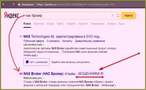 Первые 2 строчки Яндекса - NAS-Broker Com жулики